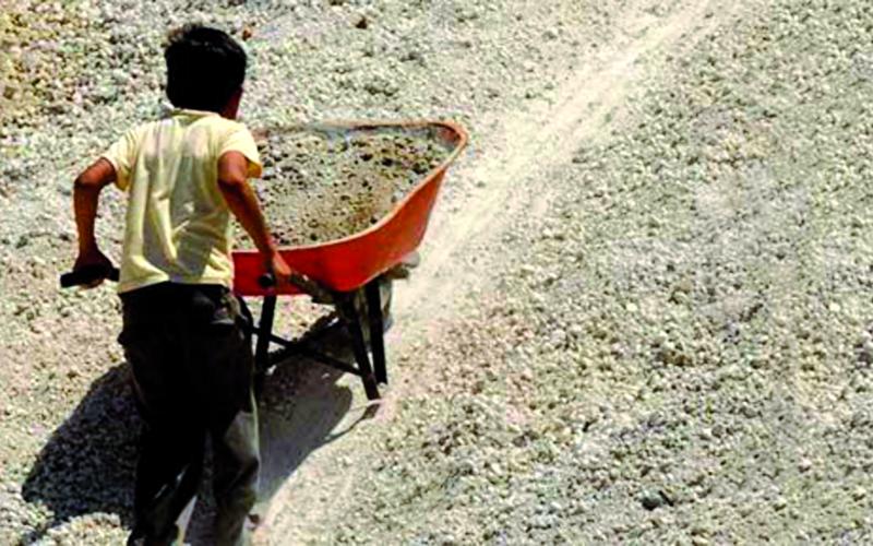 عمالة الأطفال... فقرٌ يرفع معدلاتها والإحصاءات في غياب