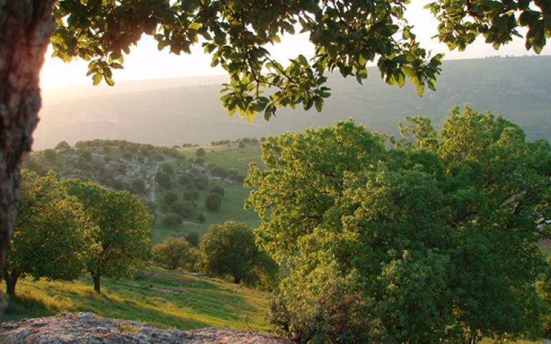 طقس لطيف والعظمى في عمّان 27