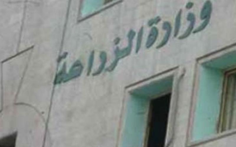 "الزراعة" تدعو المزارعين للالتزام بتعليماتها خلال موجة الحر