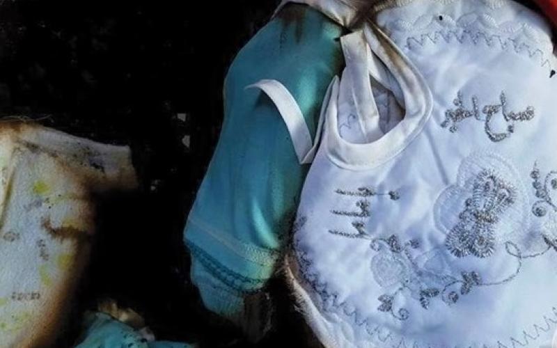 دماء الرضيع الدوابشة بين سطور كتّاب الرأي