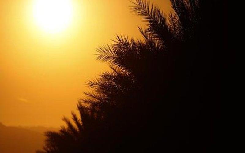 كتلة حارة والعظمى في عمّان 34