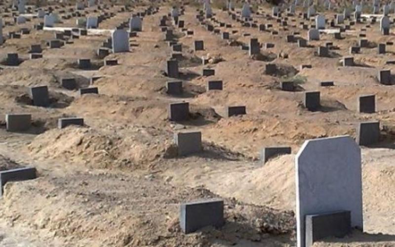 الأمانة: مليون ونصف دينار سنوياً عطاءات إنشاء قبور