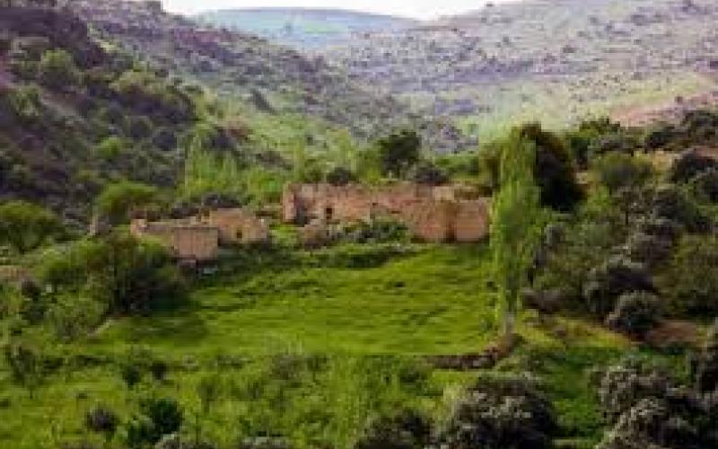 استمتع بالرحلات وحافظ على البيئة