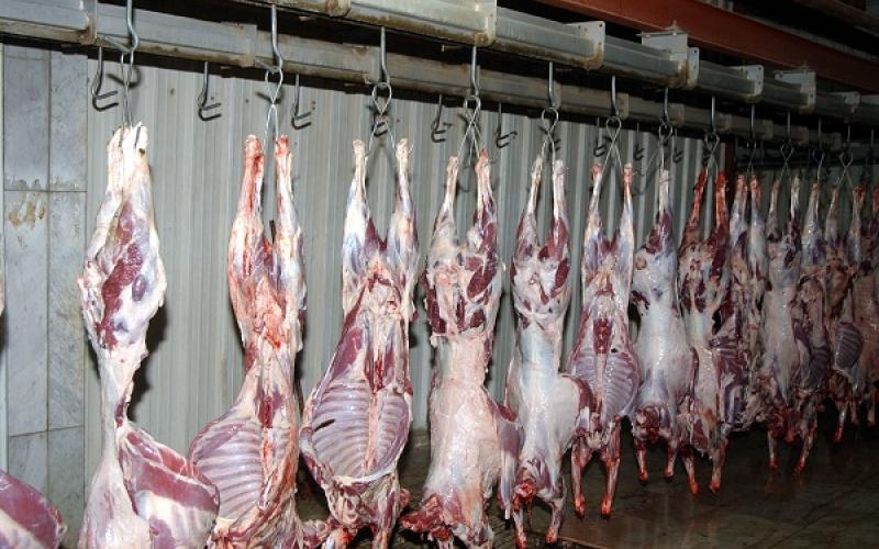 انخفاض بعدد ذبحيات مسلخ الأمانة