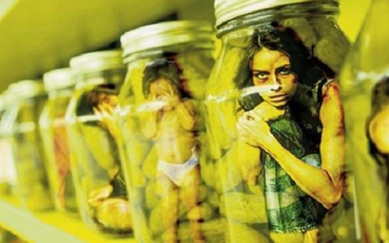 الإتجار بالبشر جريمة مكتُملة الأركان آن تطبيق قانونها بالمحاكم