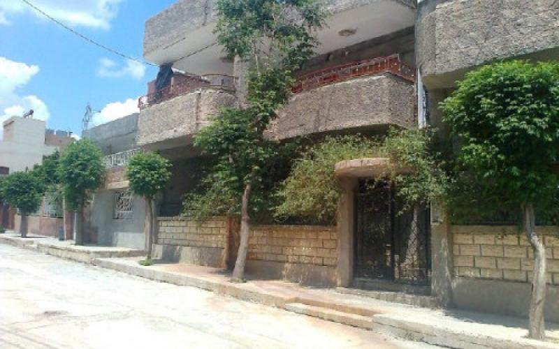 بلدية الزرقاء تزود الاهالي بالاشجار لزراعتها امام منازلهم