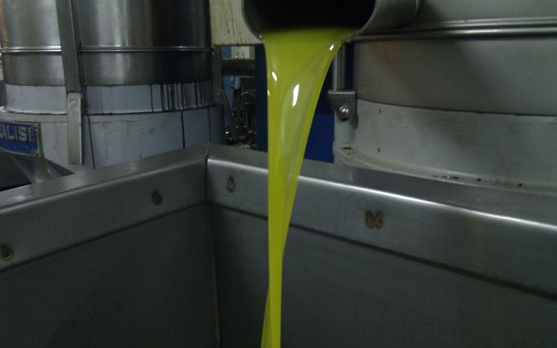 الزراعة تتوقع سعراً لتنكة الزيت من 75-80 دينار