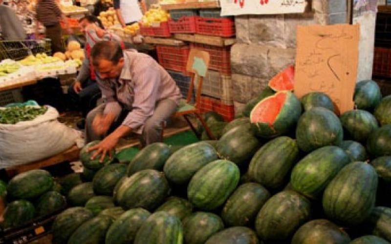 "الأمانة" تدعو اصحاب معرشات البطيخ لإزالتها خلال اسبوعين