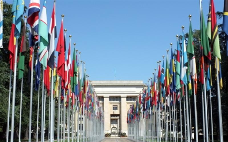 الأردنية لحقوق الإنسان": الوفد الأردني لم يقدّم في جنيف إجابات واضحة حول التعذيب