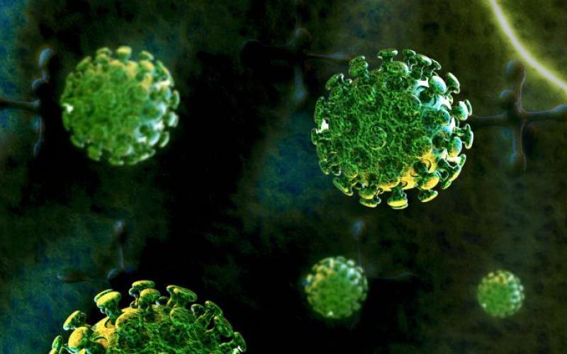 الصحة: الأردن خالياً من "الكورونا"