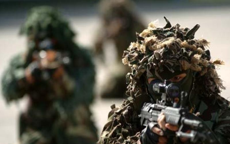 تدريب عسكري مشترك بين الأردن ومصر