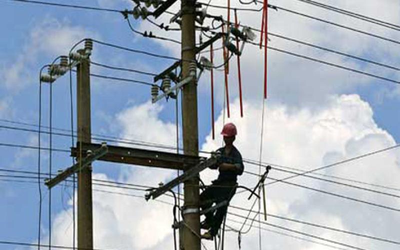 "توزيع الكهرباء" تعالج 750 خللاً خلال المنخفض