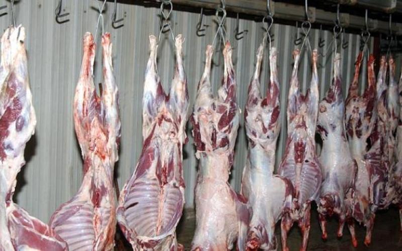 الأمانة‬ تتلف نحو 1100 طن لحوم في 2015