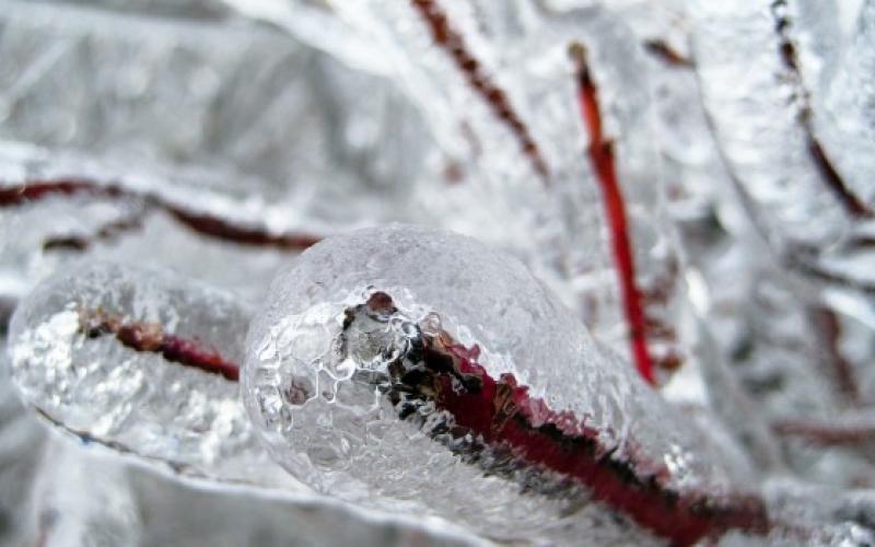 أجواء باردة وصقيع ليلاً