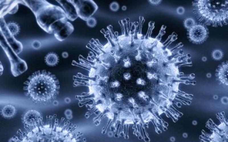 من 5-10% نسبة انتشار الـH1N1 في الأردن