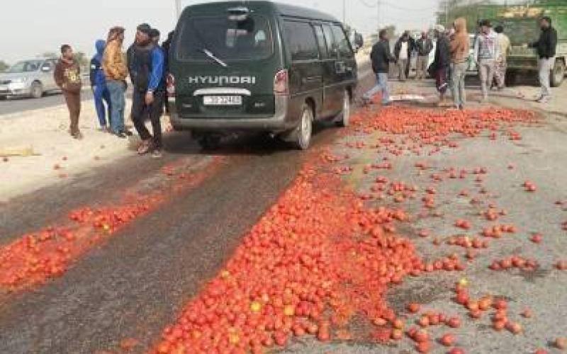 مزارعون يلقون البندورة في الشوارع بعد انخفاض أسعارها