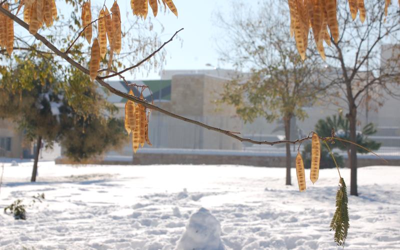 عمّان والثلجة الكبيرة