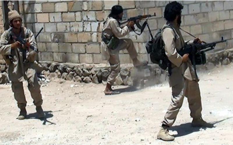 القوات السورية تسيطر على بلدة ربيعة في ريف اللاذقية