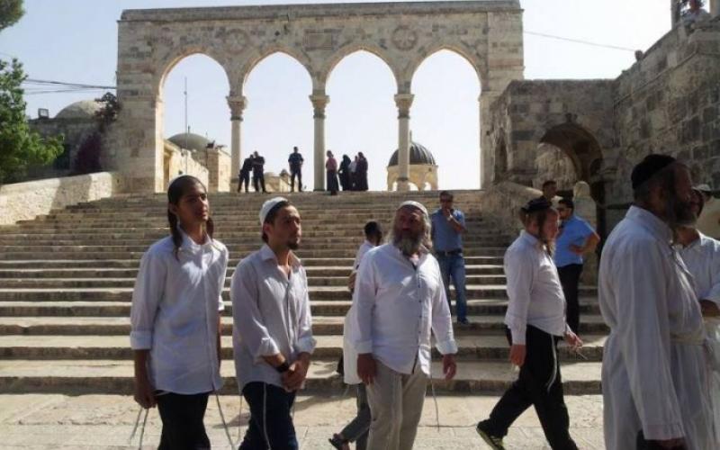 طقوس تلمودية في الأقصى