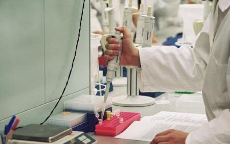 غياب الدعم يوقف أبحاثا واعدة حول المضادات بالجامعة الهاشمية