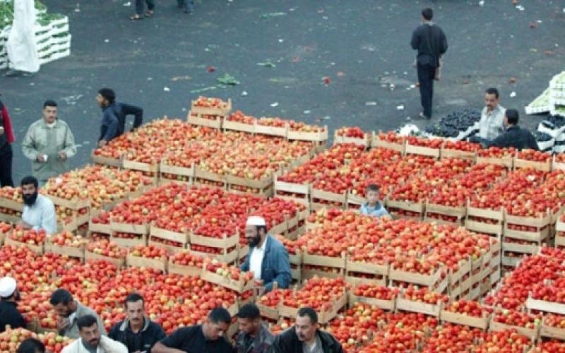 الخضار في انخفاض والبندورة بـ 7 قروش