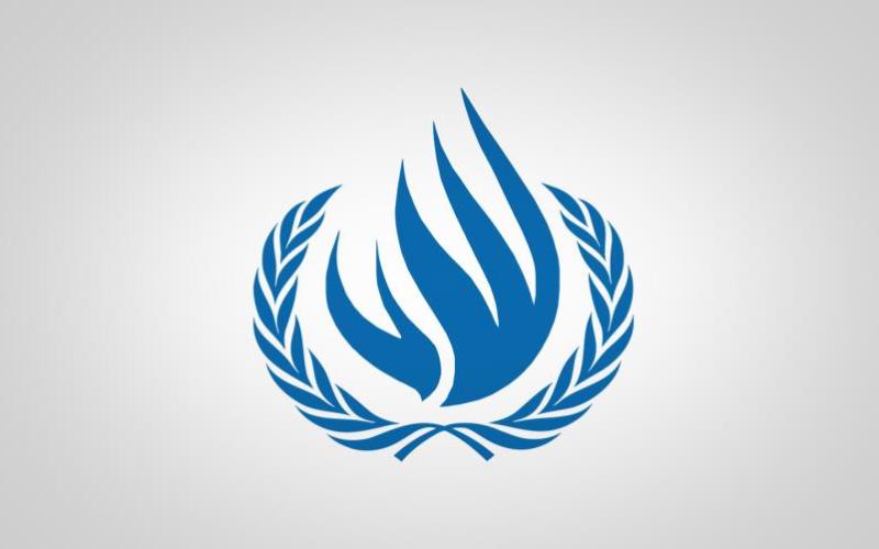 Human Rights Council