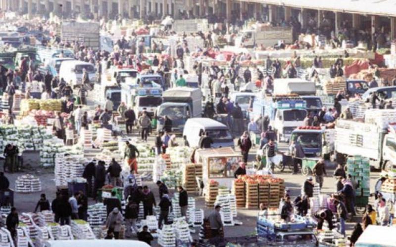 مزارعون يمهلون الحكومة أسبوع.. والوزارة: أخبار جيدة الأيام القادمة