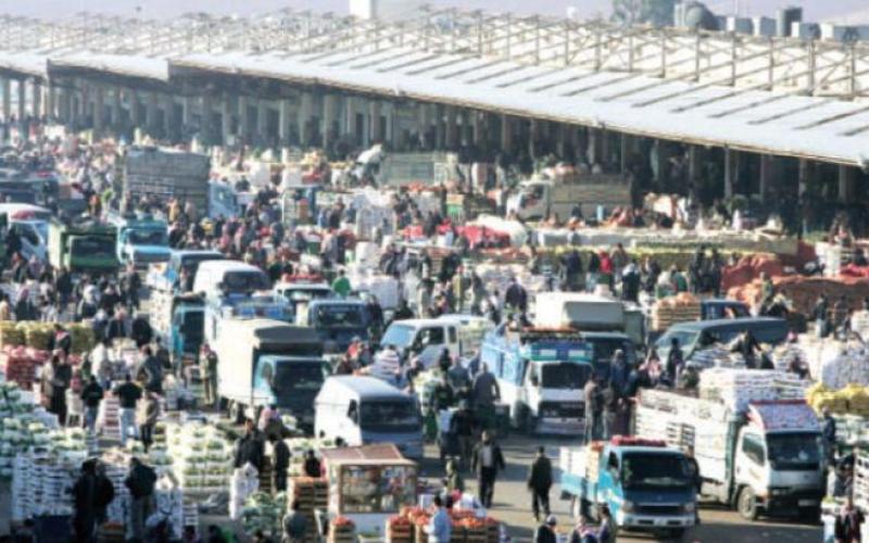 الأمانة تدرس إنشاء ساحة لتصدير المنتجات البستانية