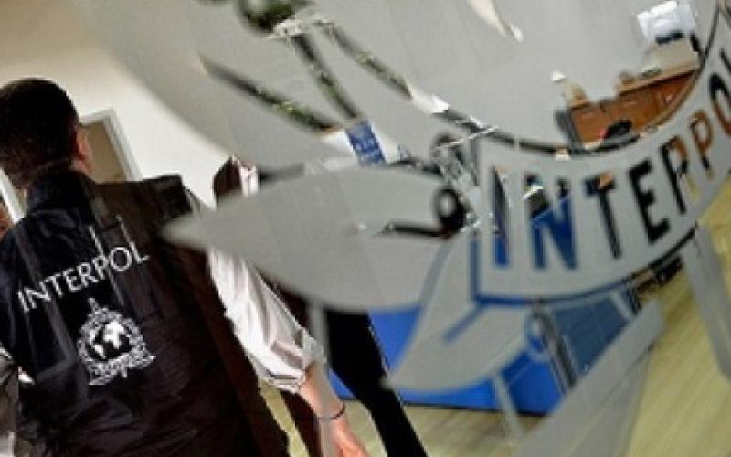 انتربول عمّان تتسلم مطلوب من إنتربول القاهرة