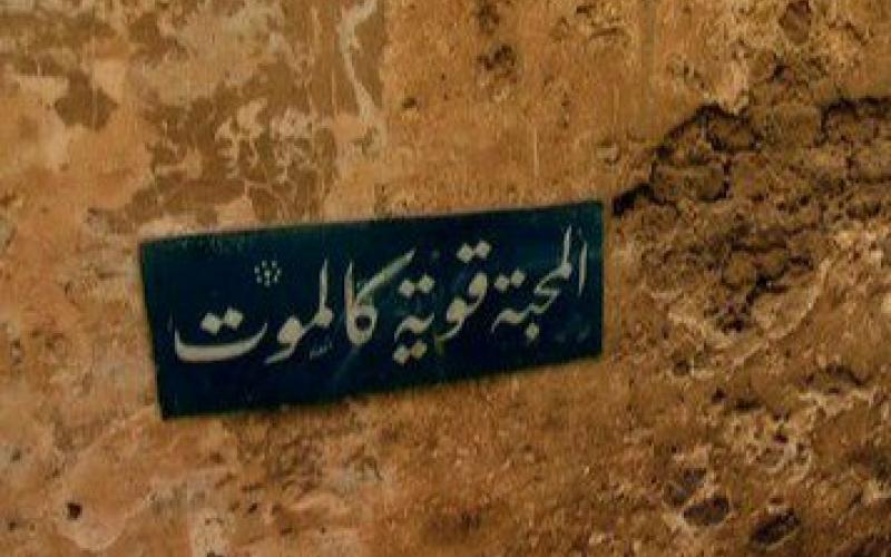 الأم .. معين الحب الصافي