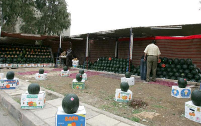 بدء استقبال طلبات تصاريح بيع البطيخ والشمام‎