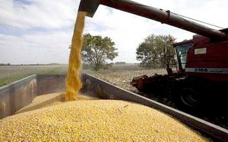 روسيا تبدي استعداداً لزيادة امداد الأردن من القمح