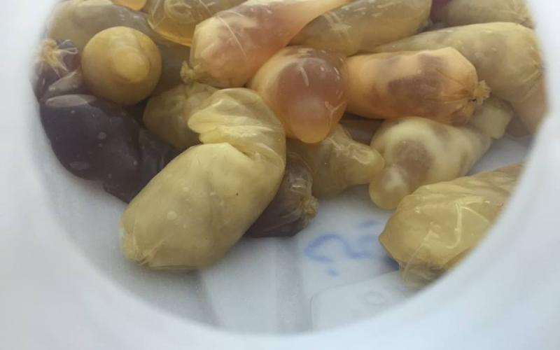 القبض على 5 مشتبه بهم بقضية مخدرات