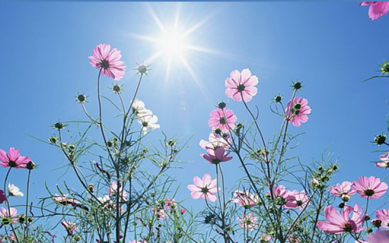 أجواء دافئة نهاية الأسبوع