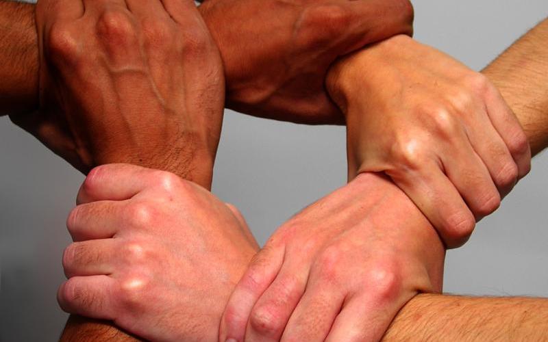 "تضامن" تطالب بالمساواة بين الجنسين في الدستور