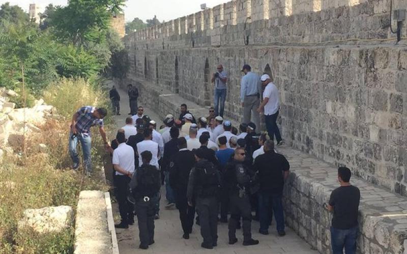 تحذيرات من اقتحامات الأقصى