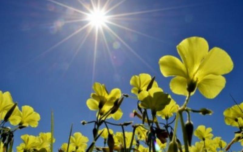 أجواء لطيفة وارتفاع على درجات الحرارة