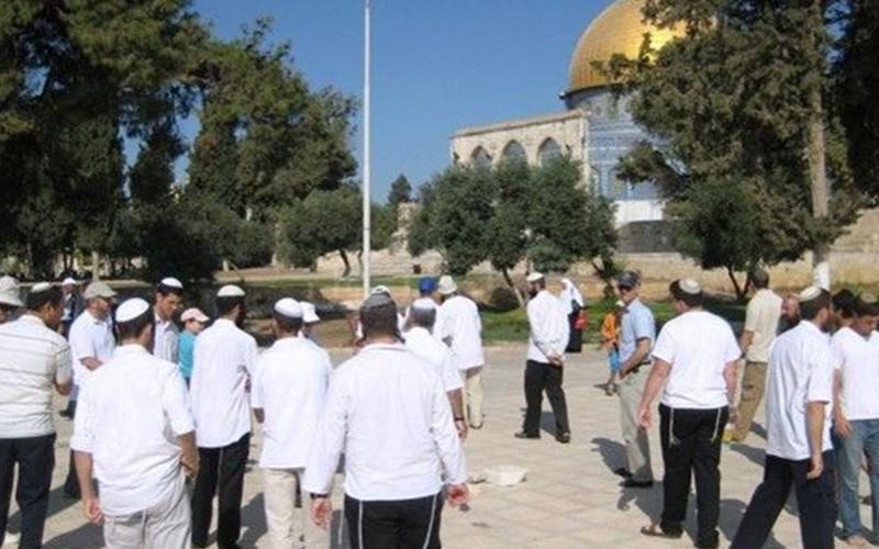 متطرفون يقتحمون باحات الأقصى