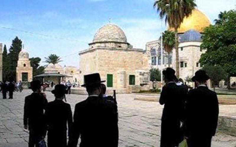 متطرفون يهود يقتحمون باحات الأقصى