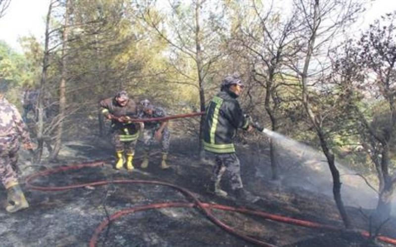 حريق أعشاب جافة في البلقاء