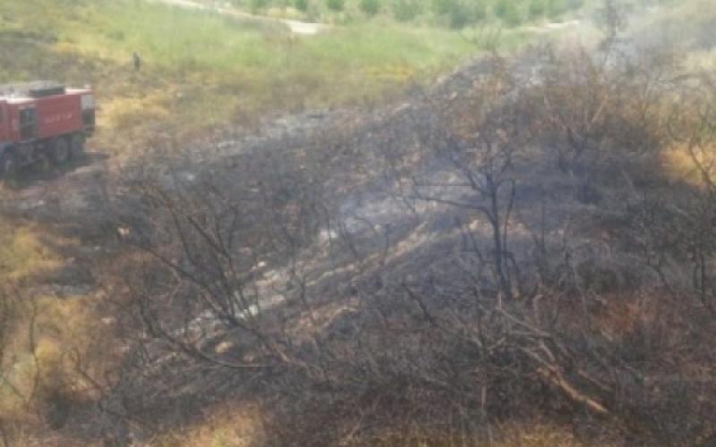 حريق أعشاب جافة في إربد