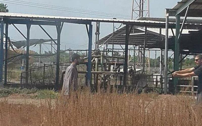 مقتل أردني في "ألينوي" الأمريكية وإصابة شاب على الحدود الإسرائيلية