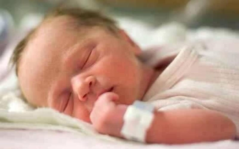 132 مولود جديد في غزة يومياً