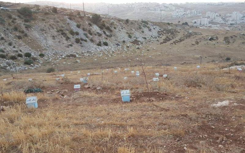 حال "غابة الإبداع" الأردنية