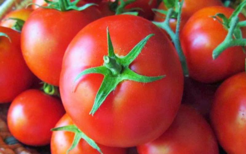 انخفاض سعر البندورة في "مركزي عمّان"