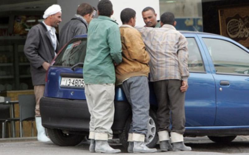 800 ألف عامل وافد في السوق المحلي