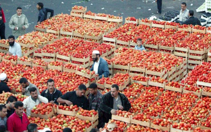 نحو 2000 طن خضار وفواكه ترد "مركزي عمّان"