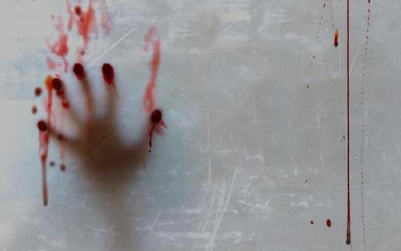 تضامن : ست جرائم قتل بحق نساء وفتيات في الثلث الثاني من عام 2016