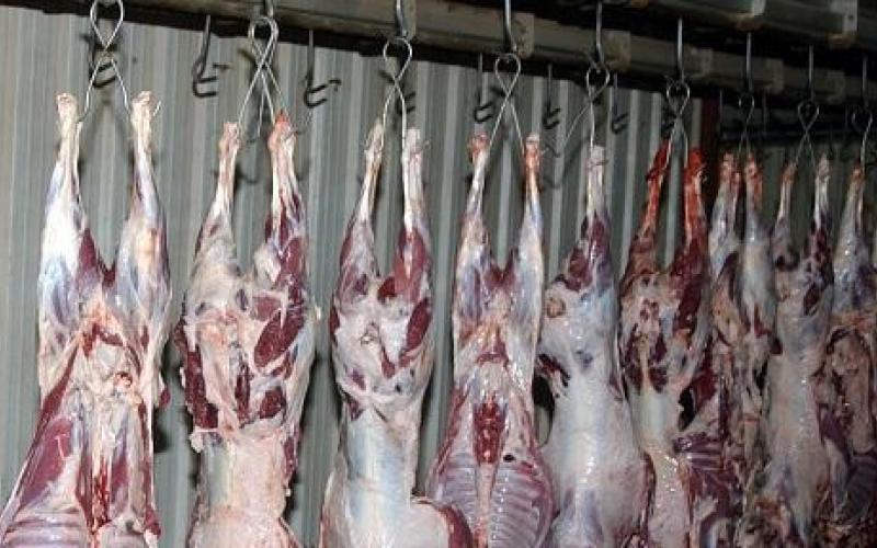 290 ألف دينار لتأهيل مسلخ عمان