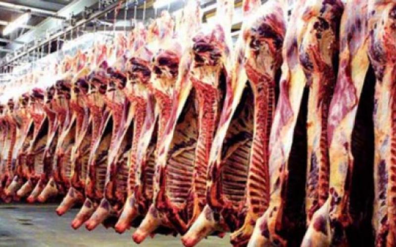 توزيع لحوم الأضاحي على سبعة الآف لاجئ في مريجيب الفهود